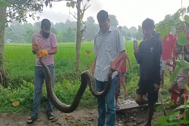 Radiopaschimaawaj
